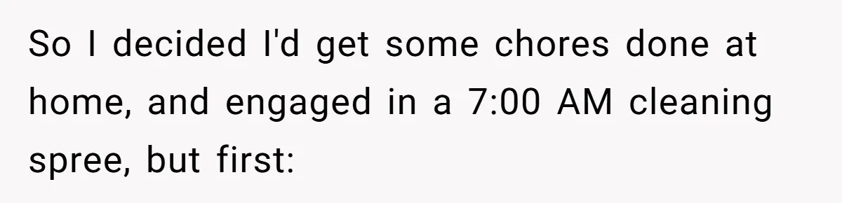 So I decided I'd get some chores done at home, and engaged in a 7:00 AM cleaning spree, but first: