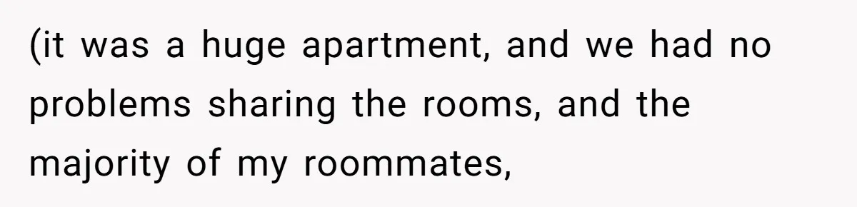 (it was a huge apartment, and we had no problems sharing the rooms, and the majority of my roommates,