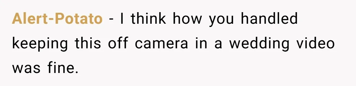 Bride Requests Videographer To Avoid Capturing Sister’s Breastfeeding, Sister Calls It ‘Neglectful’ Alert-Potato − I think how you handled keeping this off camera in a wedding video was fine.