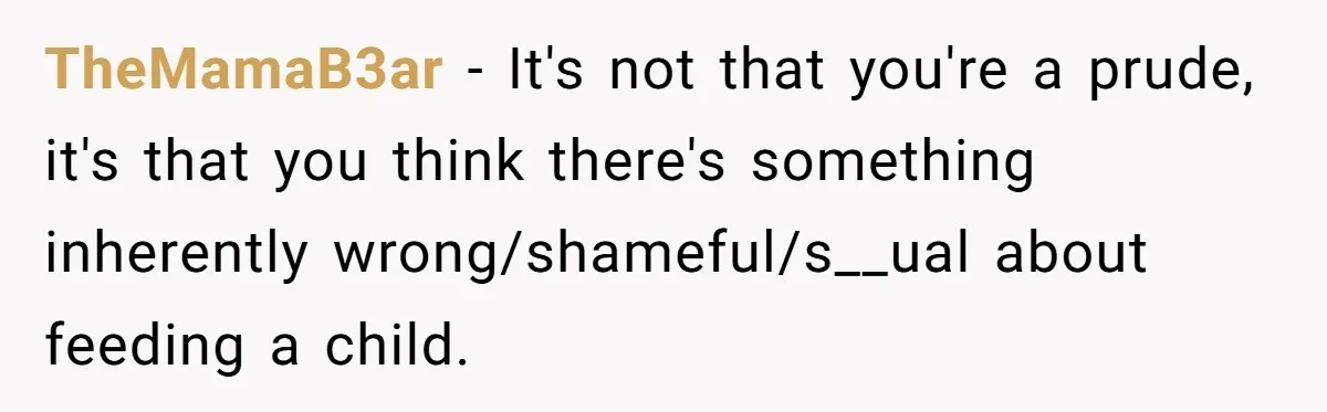Bride Requests Videographer To Avoid Capturing Sister’s Breastfeeding, Sister Calls It ‘Neglectful’ TheMamaB3ar − It's not that you're a prude, it's that you think there's something inherently wrong/shameful/s__ual about feeding a child.