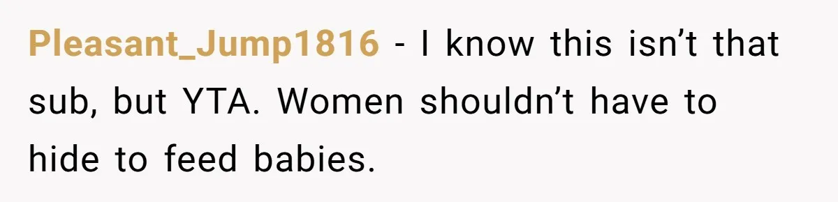 Bride Requests Videographer To Avoid Capturing Sister’s Breastfeeding, Sister Calls It ‘Neglectful’ Pleasant_Jump1816 − I know this isn’t that sub, but YTA. Women shouldn’t have to hide to feed babies.