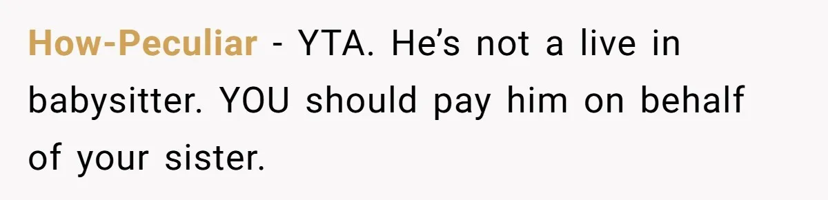 How-Peculiar − YTA. He’s not a live in babysitter. YOU should pay him on behalf of your sister.