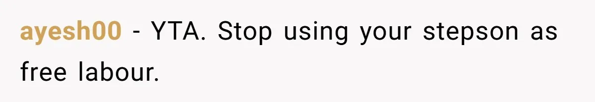 ayesh00 − YTA. Stop using your stepson as free labour.