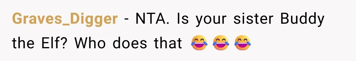 Graves_Digger - NTA. Is your sister Buddy the Elf? Who does that 😂😂😂