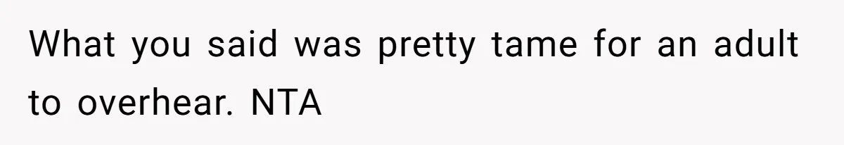 What you said was pretty tame for an adult to overhear. NTA