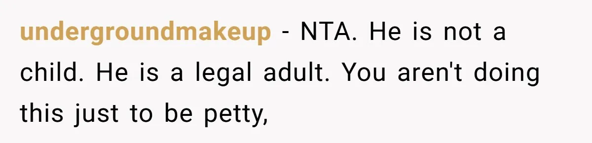 undergroundmakeup − NTA. He is not a child. He is a legal adult. You aren't doing this just to be petty,