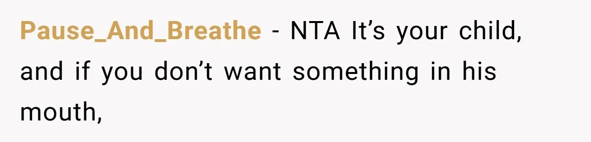 Pause_And_Breathe − NTA It’s your child, and if you don’t want something in his mouth,