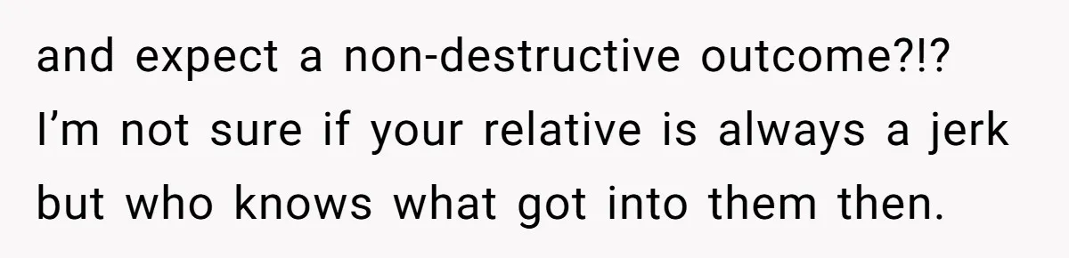and expect a non-destructive outcome?!? I’m not sure if your relative is always a jerk but who knows what got into them then.