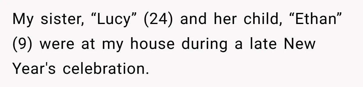 My sister, “Lucy” (24) and her child, “Ethan” (9) were at my house during a late New Year's celebration.