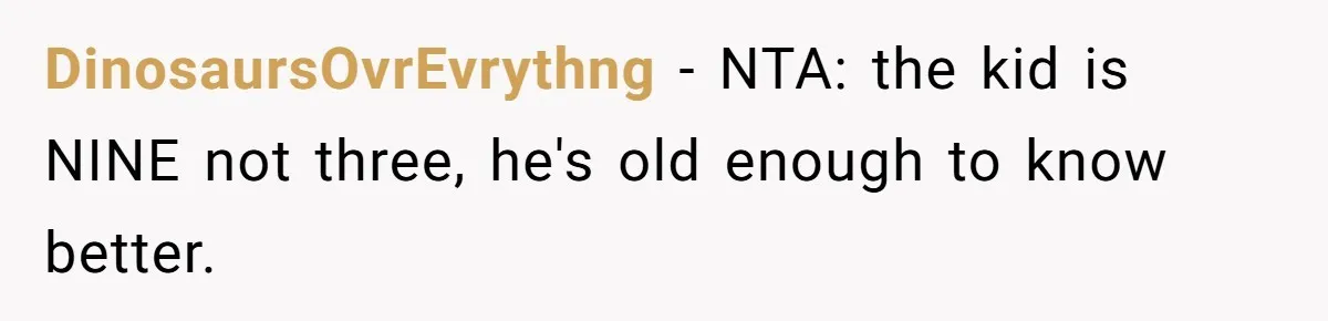 DinosaursOvrEvrythng − NTA: the kid is NINE not three, he's old enough to know better.