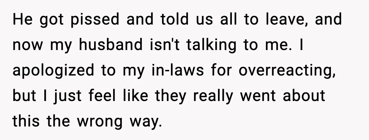 He got pissed and told us all to leave, and now my husband isn't talking to me. I apologized to my in-laws for overreacting, but I just feel like they...