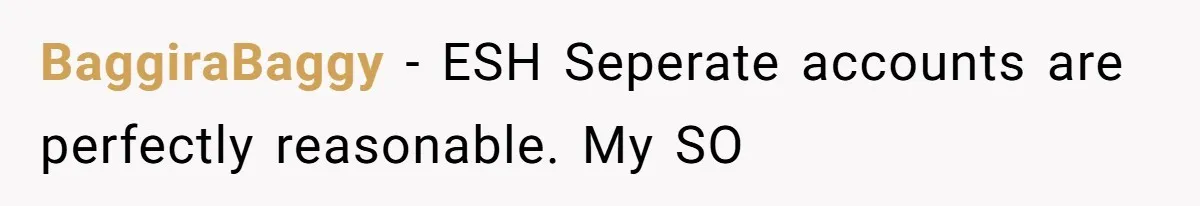 Man Refuses To Share His High Salary With Wife After She Once Insisted On Separate Finances When She Earned More BaggiraBaggy − ESH Seperate accounts are perfectly reasonable. My SO