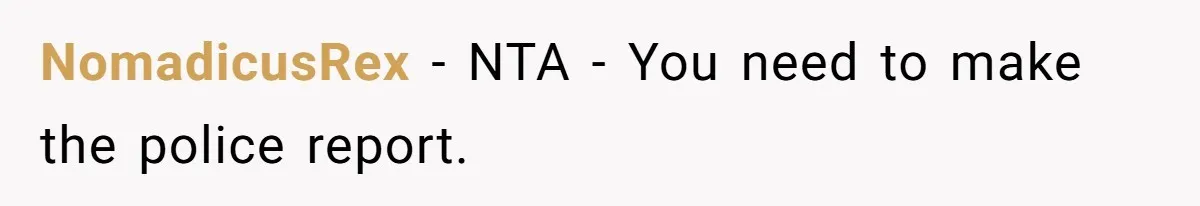 NomadicusRex − NTA - You need to make the police report.