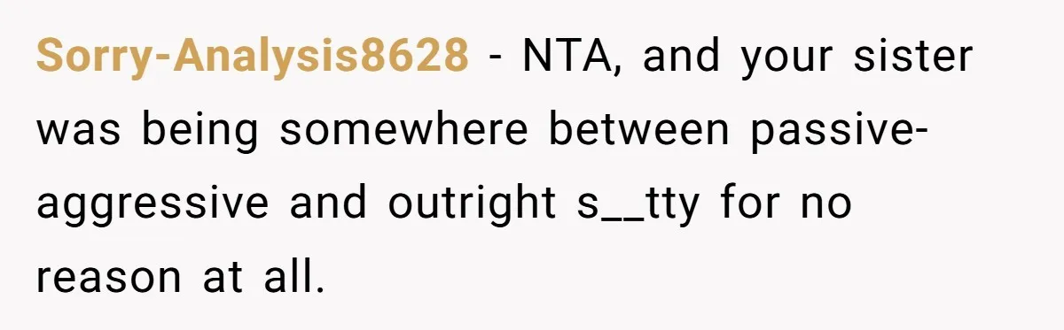 Sorry-Analysis8628 − NTA, and your sister was being somewhere between passive-aggressive and outright s__tty for no reason at all.