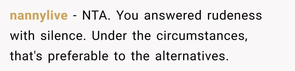 nannylive − NTA. You answered rudeness with silence. Under the circumstances, that's preferable to the alternatives.