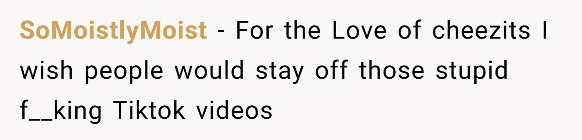 SoMoistlyMoist − For the Love of cheezits I wish people would stay off those stupid f__king Tiktok videos
