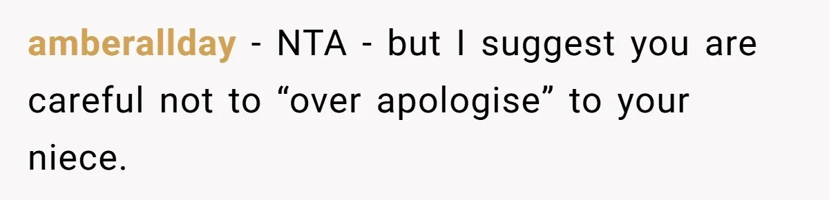 amberallday − NTA - but I suggest you are careful not to “over apologise” to your niece.