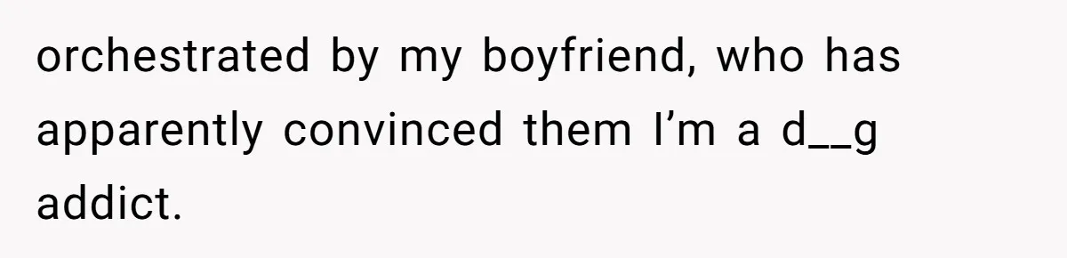 orchestrated by my boyfriend, who has apparently convinced them I’m a d__g addict.