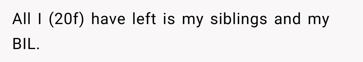 All I (20f) have left is my siblings and my BIL.