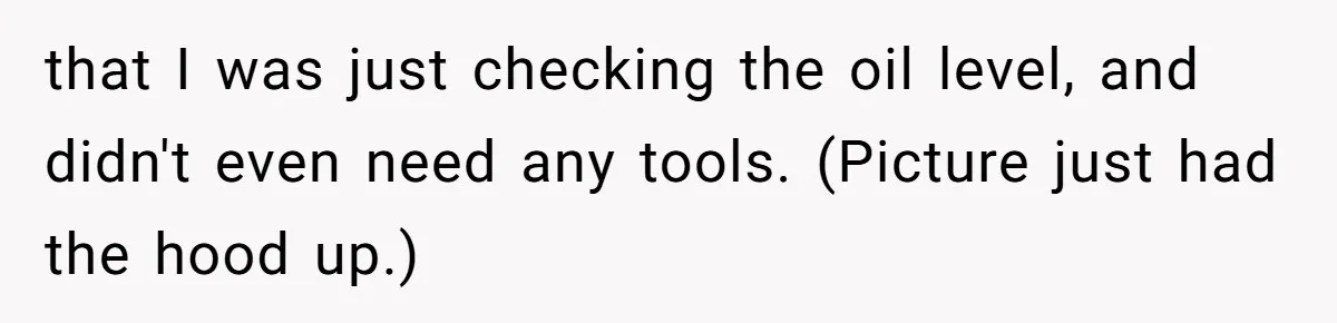 that I was just checking the oil level, and didn't even need any tools. (Picture just had the hood up.)