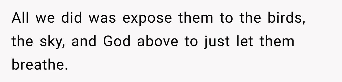 All we did was expose them to the birds, the sky, and God above to just let them breathe.