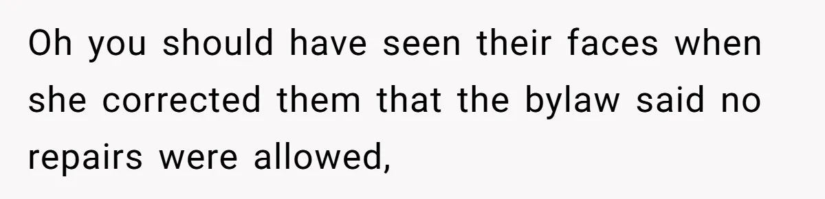 Oh you should have seen their faces when she corrected them that the bylaw said no repairs were allowed,