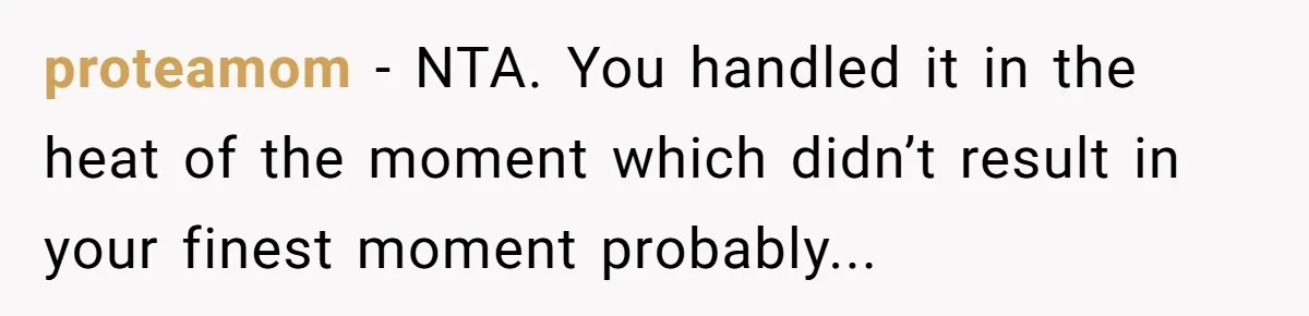 proteamom − NTA. You handled it in the heat of the moment which didn’t result in your finest moment probably...