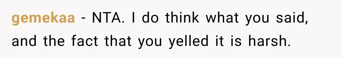 gemekaa − NTA. I do think what you said, and the fact that you yelled it is harsh.