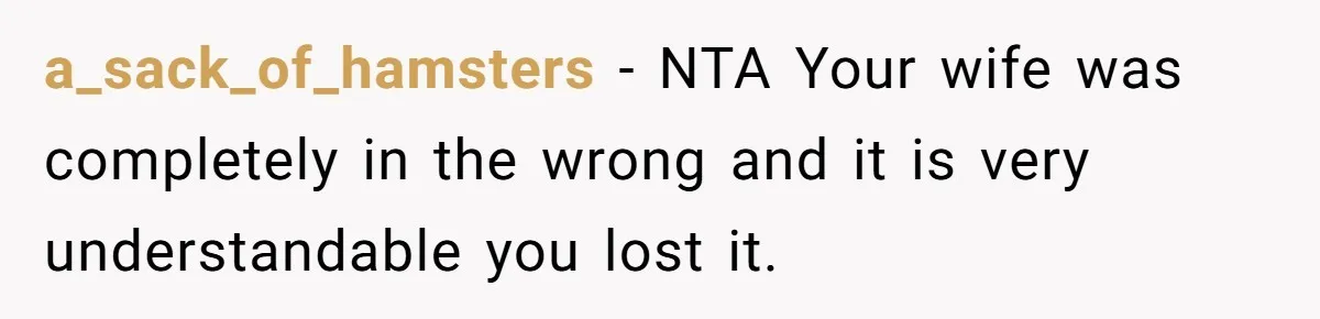 a_sack_of_hamsters − NTA Your wife was completely in the wrong and it is very understandable you lost it.
