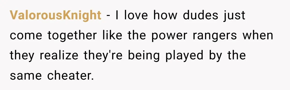 ValorousKnight − I love how dudes just come together like the power rangers when they realize they're being played by the same cheater.