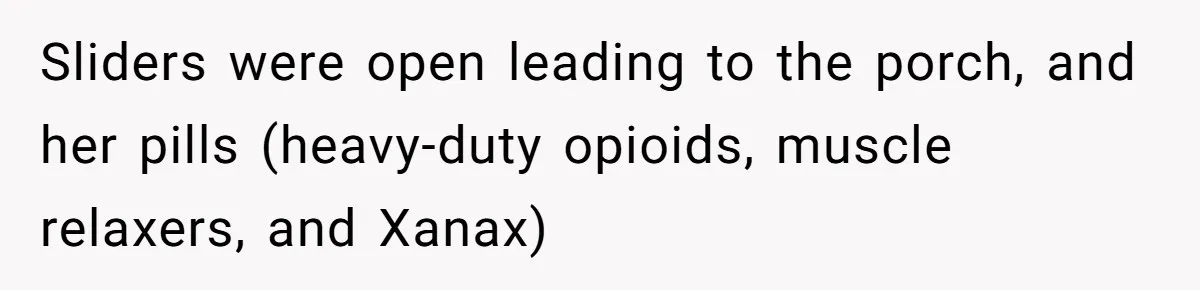 Sliders were open leading to the porch, and her pills (heavy-duty opioids, muscle relaxers, and Xanax)