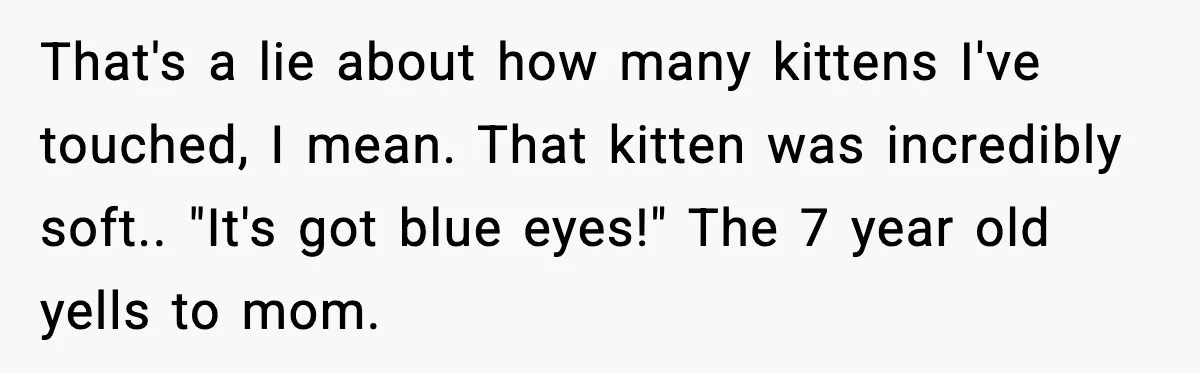 That's a lie about how many kittens I've touched, I mean. That kitten was incredibly soft.. "It's got blue eyes!" The 7 year old yells to mom.