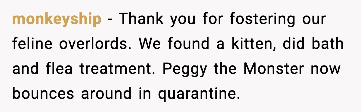 monkeyship - Thank you for fostering our feline overlords. We found a kitten, did bath and flea treatment. Peggy the Monster now bounces around in quarantine.