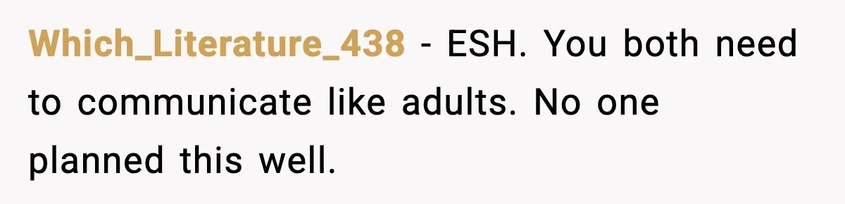 Husband Says “It’s Your Job,” Then Gets Mad When She Handles It Which_Literature_438 - ESH. You both need to communicate like adults. No one planned this well.