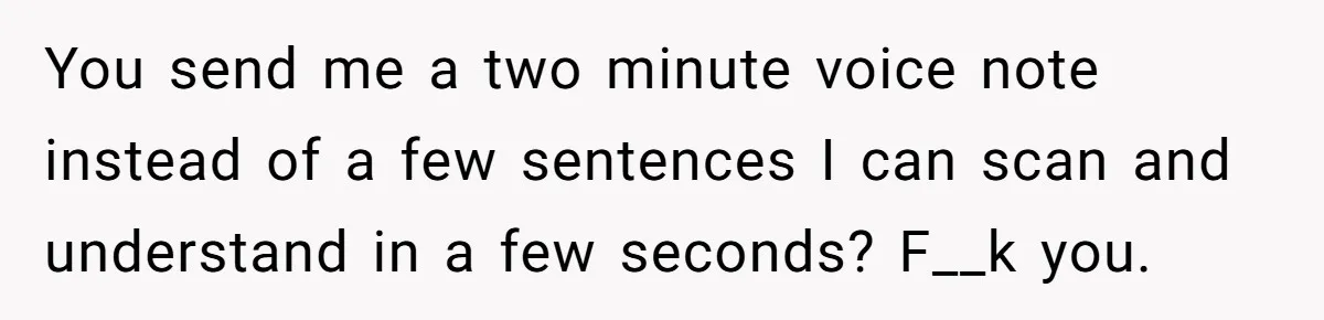 You send me a two minute voice note instead of a few sentences I can scan and understand in a few seconds? F__k you.