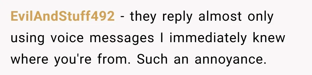 EvilAndStuff492 − they reply almost only using voice messages I immediately knew where you're from. Such an annoyance.