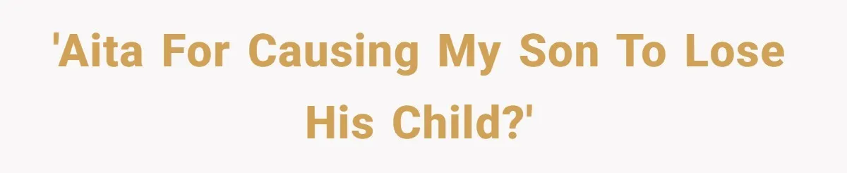 'AITA for causing my son to lose his child?'