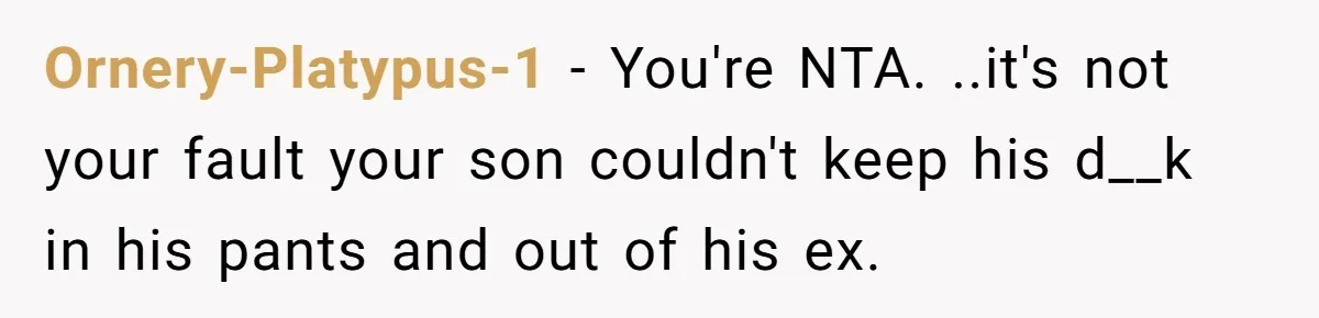Ornery-Platypus-1 − You're NTA. ..it's not your fault your son couldn't keep his d__k in his pants and out of his ex.