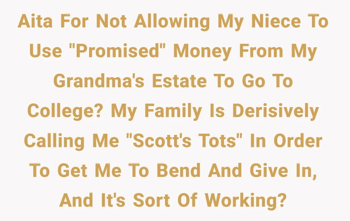 Executor Refuses To Release Grandma’s College Fund To Niece After She Fails To Meet GPA Requirement AITA for not allowing my niece to use "promised" money from my grandma's estate to go to college? My family is derisively calling me "Scott's Tots" in order to get...