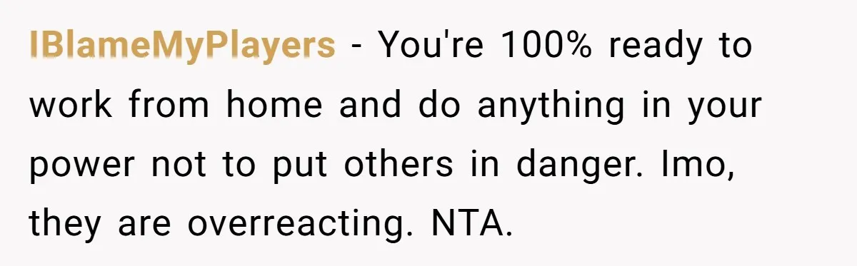 IBlameMyPlayers − You're 100% ready to work from home and do anything in your power not to put others in danger. Imo, they are overreacting. NTA.