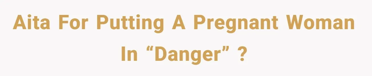 AITA for putting a pregnant woman in “danger” ?