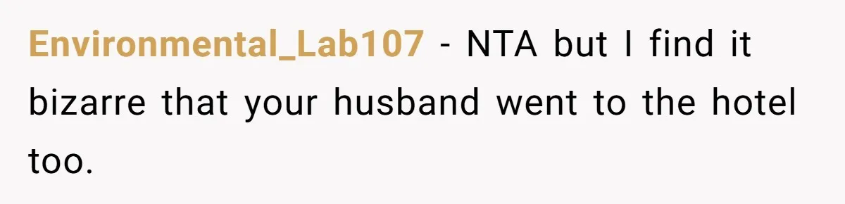 Environmental_Lab107 − NTA but I find it bizarre that your husband went to the hotel too.