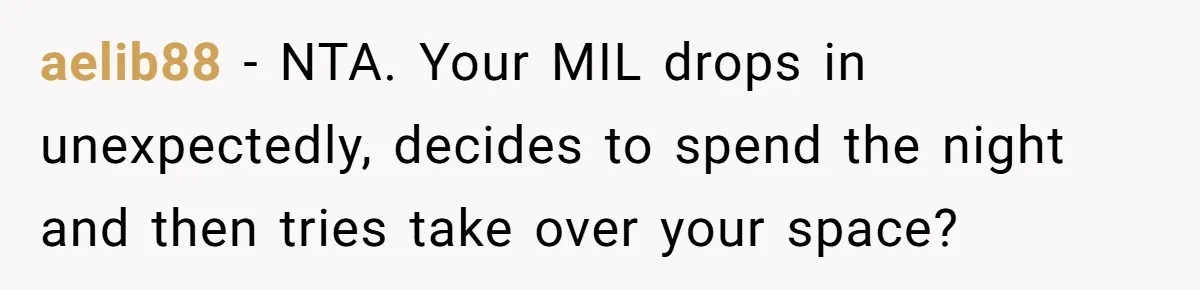 aelib88 − NTA. Your MIL drops in unexpectedly, decides to spend the night and then tries take over your space?
