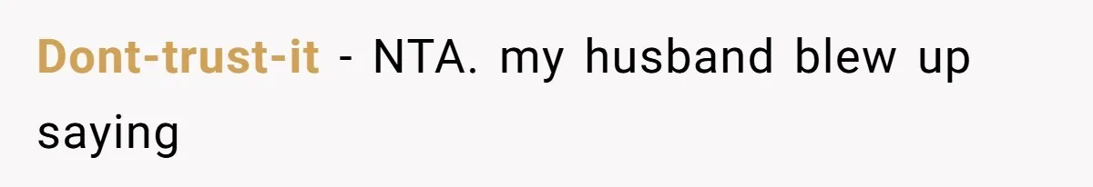 Dont-trust-it − NTA. my husband blew up saying
