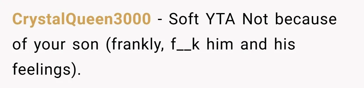 CrystalQueen3000 − Soft YTA Not because of your son (frankly, f__k him and his feelings).