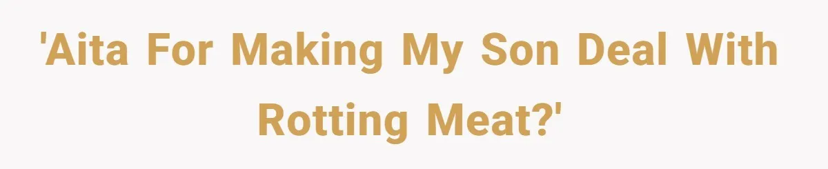 'AITA for making my son deal with rotting meat?'