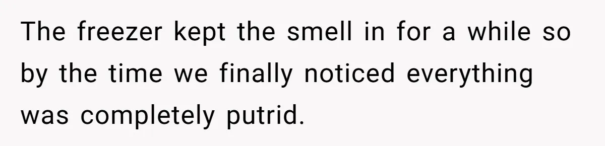 The freezer kept the smell in for a while so by the time we finally noticed everything was completely putrid.