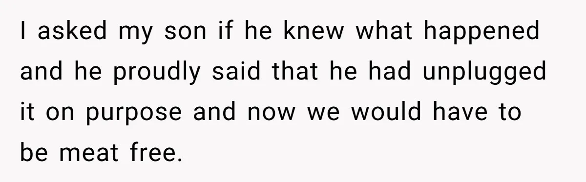 I asked my son if he knew what happened and he proudly said that he had unplugged it on purpose and now we would have to be meat free.