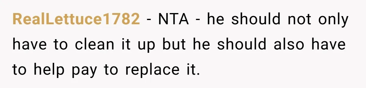 RealLettuce1782 − NTA - he should not only have to clean it up but he should also have to help pay to replace it.
