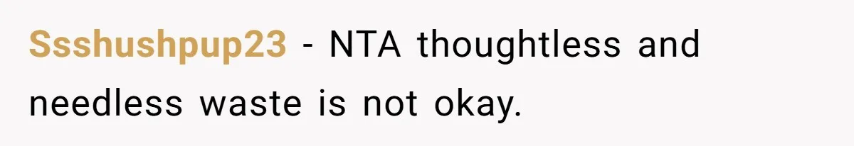 Ssshushpup23 − NTA thoughtless and needless waste is not okay.